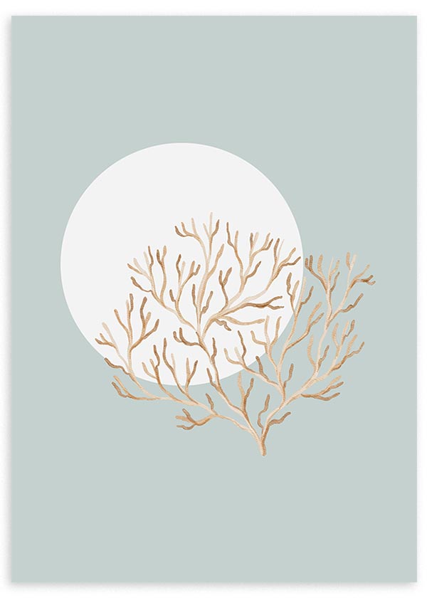 Cuadro de coral marino beige sobre fondo azul grisáceo con círculo blanco, composición serena de estilo minimalista. Disponible en kudeko.com