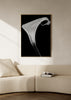 Gerahmtes Wandbild mit geschwungener weißer Calla auf schwarzem Hintergrund, klarem Kontrast, weichen Linien und fotografischem Stil. Erhältlich auf kudeko.com