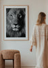 Cuadro decorativo de estilo blanco_y_negro y minimalista colocado en salón, retrato de león en blanco y negro, modelo Salvaje León
