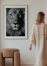 Cuadro decorativo de estilo blanco_y_negro y minimalista colocado en salón, retrato de león en blanco y negro, modelo Salvaje León