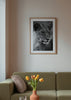 Gerahmtes Wandbild mit junger Löwin in Nahaufnahme, graue Töne, detailreiches Fell, ruhiger Blick und eleganter fotografischer Schwarz-Weiß-Stil. Erhältlich auf kudeko.com
