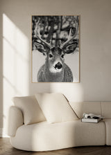 Cuadro decorativo de estilo blanco_y_negro y minimalista colocado en salón, fotografía en blanco y negro de ciervo invernal, modelo Winter Deer