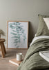 Gerahmtes Wandbild mit hängenden Eukalyptuszweigen, rundlichen Blättern in Salbeigrün und hellem Grau auf weißem Hintergrund, in einem klaren floralen Stil. Erhältlich auf kudeko.com