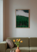 Wandbild mit Nadelwald, weißem Nebel, dichtem grünem Baumbestand, dunklem Hintergrund und ruhigem Natur- und Landschaftsstil. Erhältlich auf kudeko.com