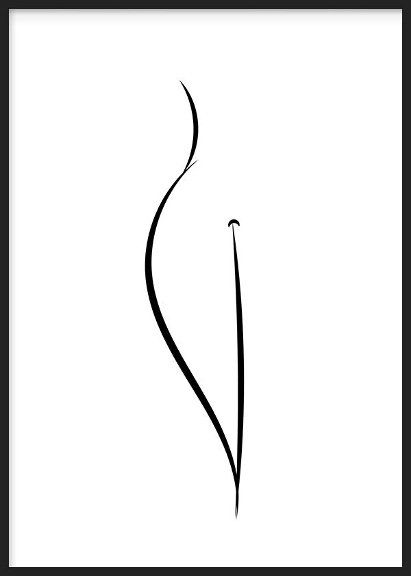 Cuerpo Lineal