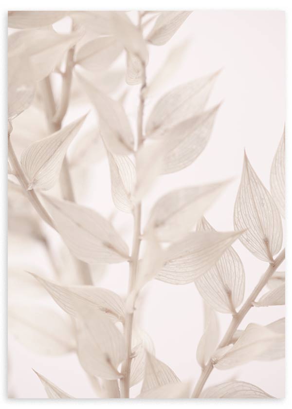 Tableau botanique avec branches fines, feuilles séchées translucides en ivoire, beige clair et blanc cassé, dans un style minimaliste doux et épuré. Disponible sur kudeko.com