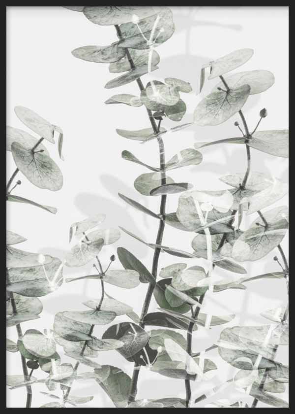 cuadro para lámina decorativa con flor de eucalipto en tonos blancos y verdes, estilo nórdico - kudeko