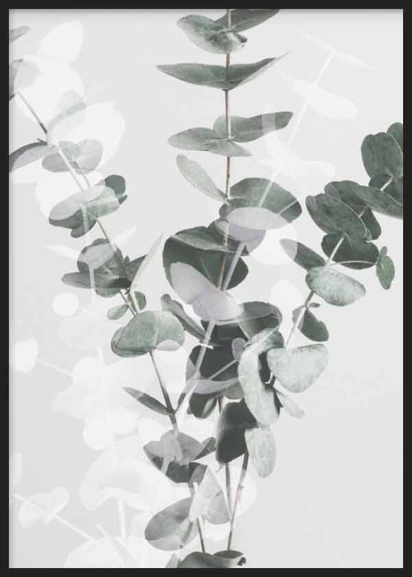 Quadro emoldurado com ramos de eucalipto de folhas arredondadas em tons de verde acinzentado, branco e cinza suave, numa composição botânica leve de estilo natureza e paisagem. Disponível em kudeko.com