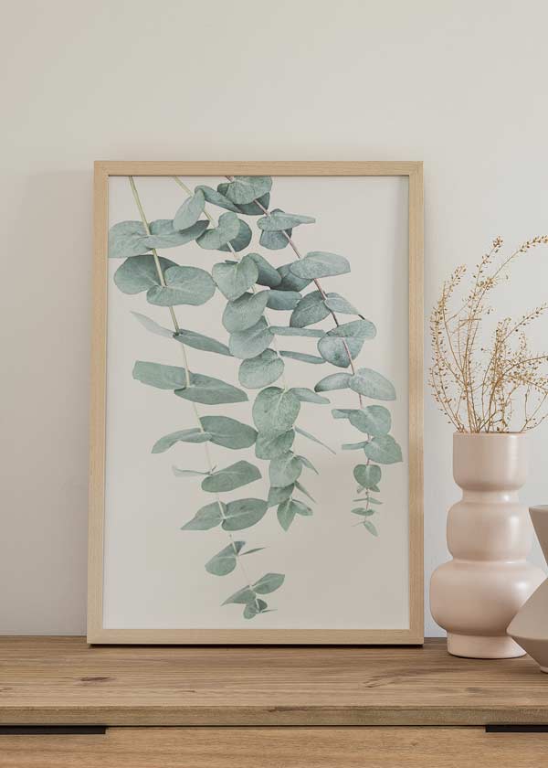 Cuadro nórdico, floral, Posters, Prints, & Visual Artwork, Eucalyptus I
