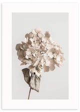 lámina decorativa fotográfica y floral de estilo nórdico y tonos beige - kudeko