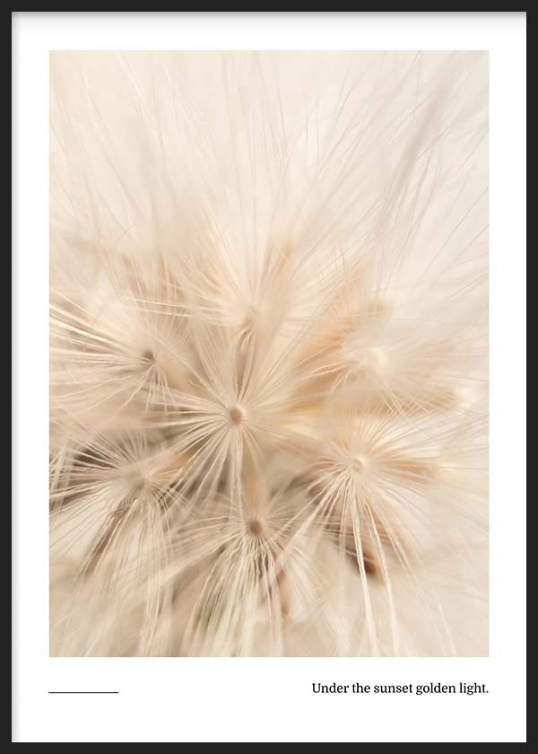 Tableau encadré avec graines légères type pissenlit en gros plan, tons beige, crème et blanc, lumière chaude diffuse et style nature apaisé. Disponible sur kudeko.com