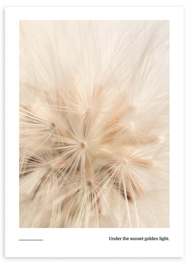 Tableau encadré avec graines légères type pissenlit en gros plan, tons beige, crème et blanc, lumière chaude diffuse et style nature apaisé. Disponible sur kudeko.com