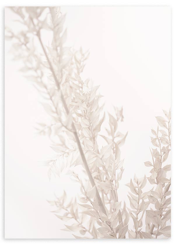 Cuadro de ramas de flores secas en tonos blanco roto, crema y beige claro, con fondo luminoso y estética floral serena. Disponible en kudeko.com