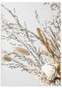 lámina decorativa de fotografía de flores secas, estilo botánico - kudeko