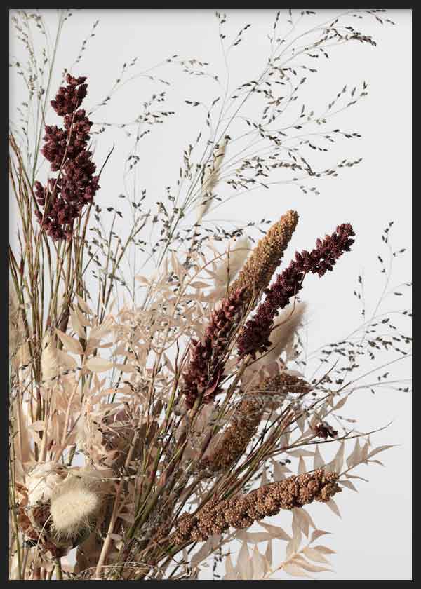 cuadro para lámina decorativa de fotografía de flores secas, estilo botánico - kudeko