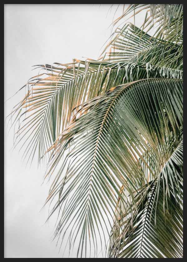 Cuadro con fotografía de hojas de palmera en primer plano, tonos verdes, beige y gris claro, composición tropical ligera y estilo fotográfico. Disponible en kudeko.com