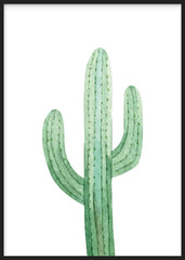 Illustration Cactus III