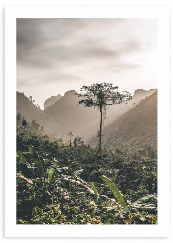 Cuadro paisaje de selva tropical en tonos verdes. Marco negro