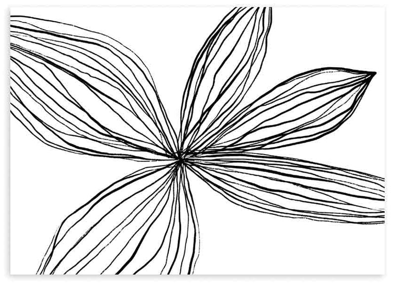 Quadro horizontal com grande flor de pétalas alongadas em linhas pretas sobre fundo branco, composição limpa em preto e branco de estilo minimalista contemporâneo. Disponível em kudeko.com