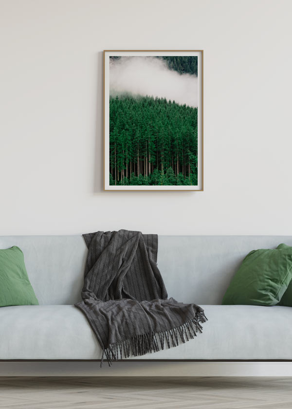 Decoración con cuadros, ideas -  cuadro de fotografía de bosque verde con niebla bajando por la colina. Lámina decorativa.