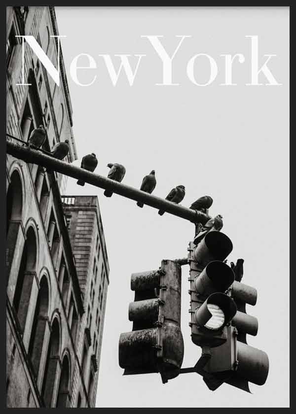 Gerahmtes Wandbild mit New Yorker Stadtszene in Schwarz-Weiß, klassischer Fassade, hängender Ampel, sitzenden Tauben, hellem Hintergrund und fotografischem Stil. Erhältlich auf kudeko.com