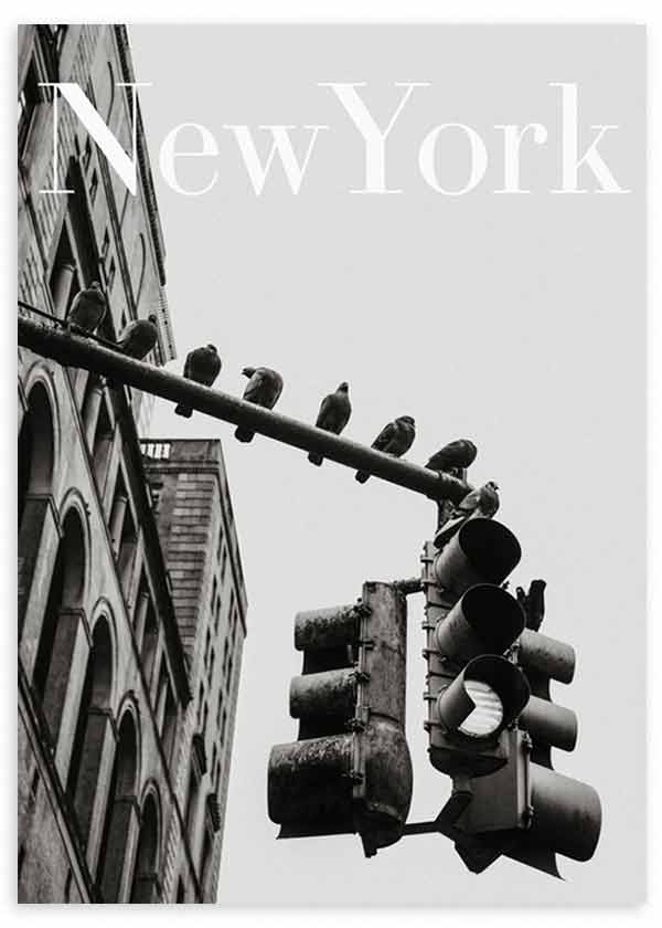 Cuadro con escena urbana de Nueva York en blanco y negro, con edificio clásico, semáforo suspendido, palomas posadas y tipografía superior de estilo fotográfico. Disponible en kudeko.com