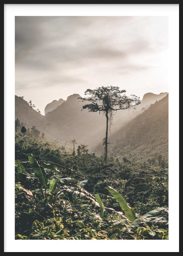 Lámina para Cuadro paisaje de selva tropical en tonos verdes