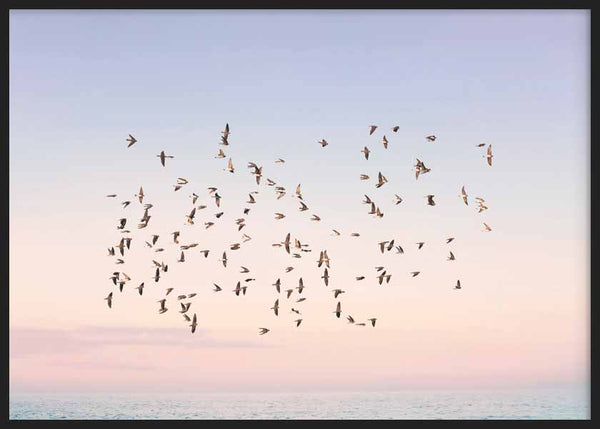 Cuadro horizontal de una bandada de aves volando sobre el mar al atardecer, con cielo rosa, azul claro y tonos melocotón, de estilo fotográfico. Disponible en kudeko.com