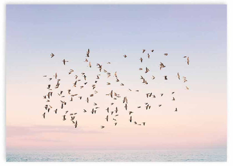 Quadro horizontal com um bando de aves a voar sobre o mar ao entardecer, céu rosa, azul claro, tons pêssego e estilo fotográfico sereno. Disponível em kudeko.com