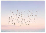 lámina decorativa horizontal de pájaros volando sobre atardecer y el mar - kudeko