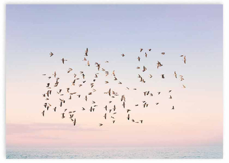 lámina decorativa horizontal de pájaros volando sobre atardecer y el mar - kudeko