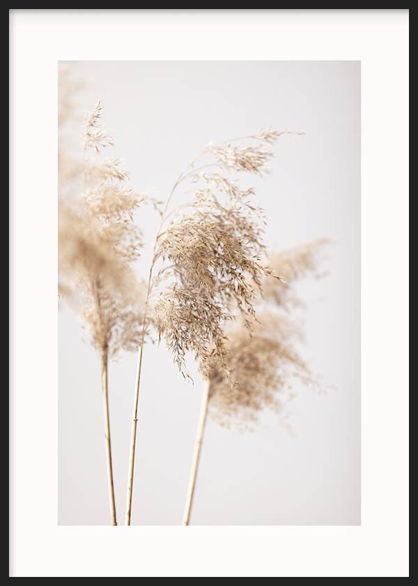 Cuadro de ramas de pampas secas en tonos beige, arena y crema sobre fondo claro, con composición suave de estilo fotográfico. Disponible en kudeko.com