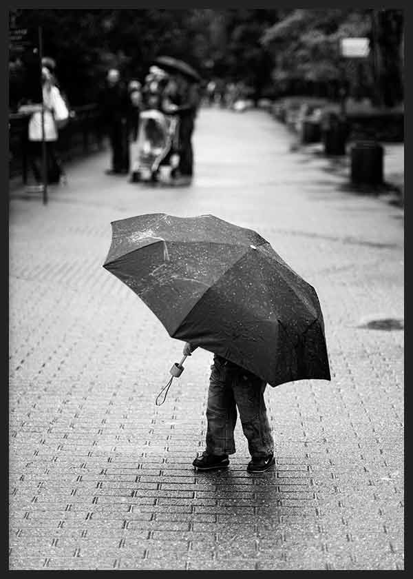 Rainy day