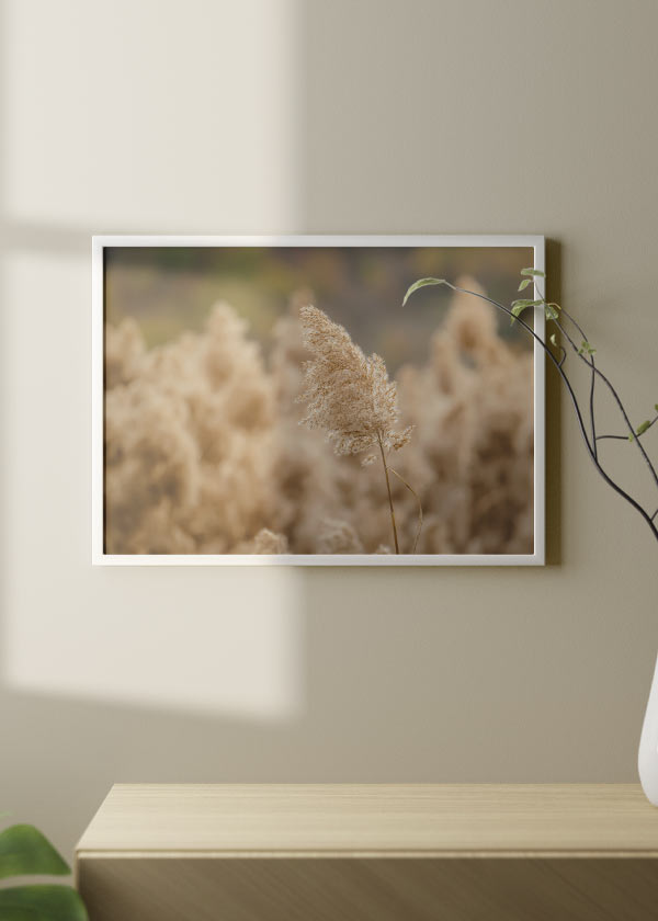 Horizontales Wandbild mit beigem wildem Schilfrohr im Vordergrund, umgeben von unscharfen Binsen in Creme und sanftem Braun, im natürlichen fotografischen Stil. Erhältlich auf kudeko.com
