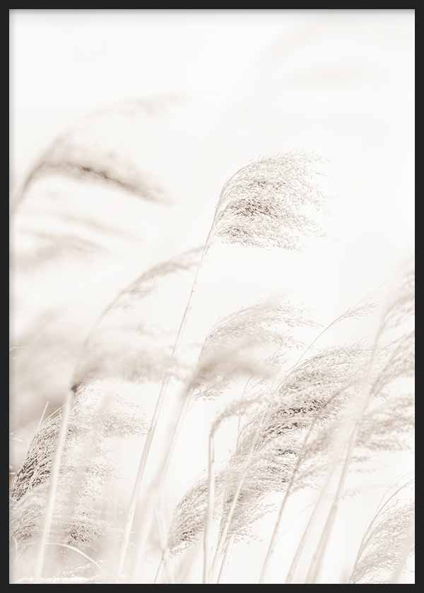 Cuadro de cañas silvestres difuminadas con espigas suaves en tonos beige, arena y blanco, de estilo naturaleza y paisajes. Disponible en kudeko.com