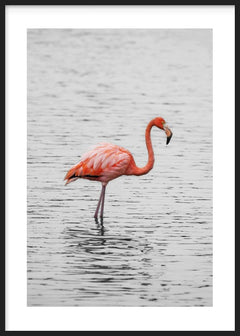 Cuadro de un flamenco rosado sobre agua gris con reflejos suaves, silueta estilizada, composición limpia y estilo fotográfico. Disponible en kudeko.com