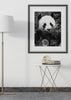 Decoración con cuadros, ideas -  cuadro fotografía de oso panda en blanco y negro. Lámina decorativa de foto de oso panda.