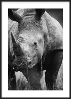 Tableau avec rhinocéros en gros plan, corne marquée, peau grise texturée, fond naturel flou et style photographique noir et blanc élégant. Disponible sur kudeko.com