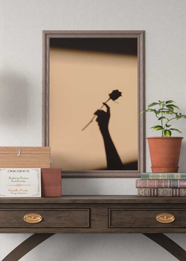 Decoración con cuadros, ideas -  cuadro fotográfico con sombra de una rosa sujetada con el brazo. Lámina decorativa.