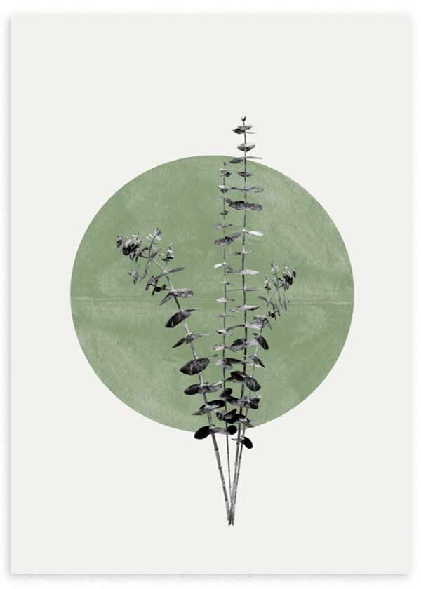 Cuadro con composición botánica de tallos finos, hojas oscuras y círculo verde salvia sobre fondo claro, de estilo minimalista. Disponible en kudeko.com