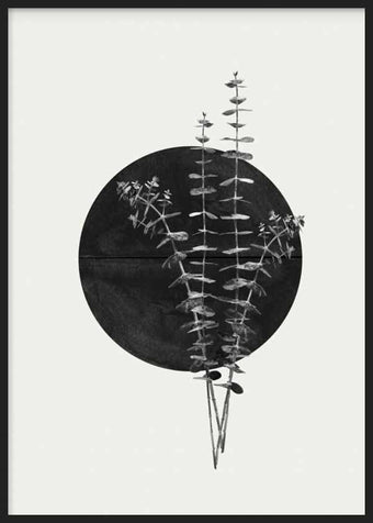 Sun & Plant IV