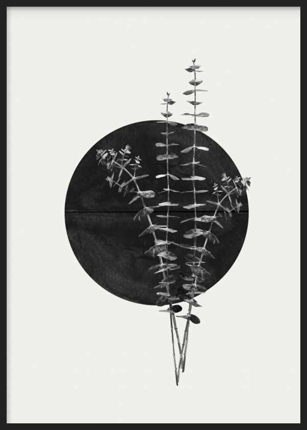 Cuadro con ramas de eucalipto en blanco y negro sobre gran círculo negro, composición botánica de estilo minimalista. Disponible en kudeko.com
