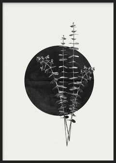 Wandbild mit Eukalyptuszweigen in Schwarz-Weiß vor großem schwarzem Kreis, botanisches Motiv mit hellem Hintergrund und minimalistischem Stil. Erhältlich auf kudeko.com