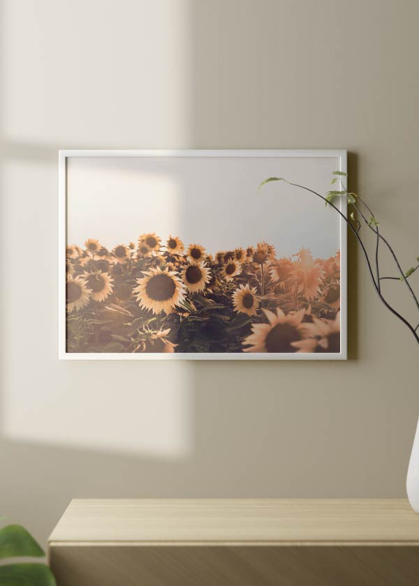 Horizontales Wandbild mit Sonnenblumenfeld im warmen Licht der Abenddämmerung, goldenen Blüten, braunen Blütenmitten, tiefgrünen Blättern und romantischem Natur Landschaftsstil. Erhältlich auf kudeko.com
