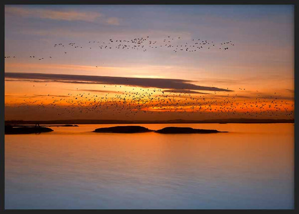 Tableau horizontal avec coucher de soleil sur l’eau, vols d’oiseaux, îles en silhouette, ciel orange, doré et bleu doux, style photographique apaisant. Disponible sur kudeko.com