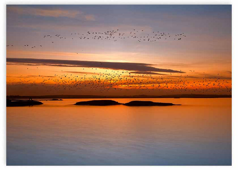 Horizontales Wandbild mit Sonnenuntergang über dem Wasser, Vogelschwärmen, Inselsilhouetten, Himmel in Orange, Gold und sanftem Blau, im fotografischen Stil. Erhältlich auf kudeko.com