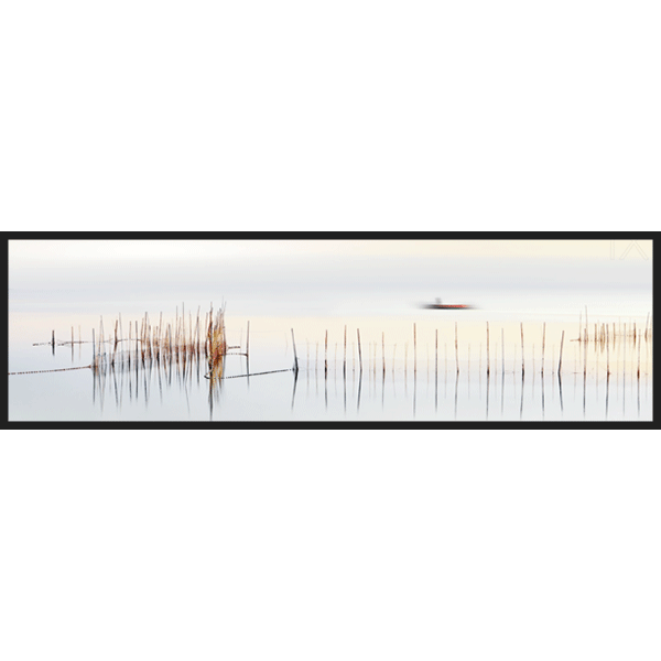 The Boat