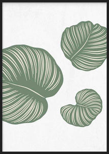 Outlet - Tropical Dream Leaves