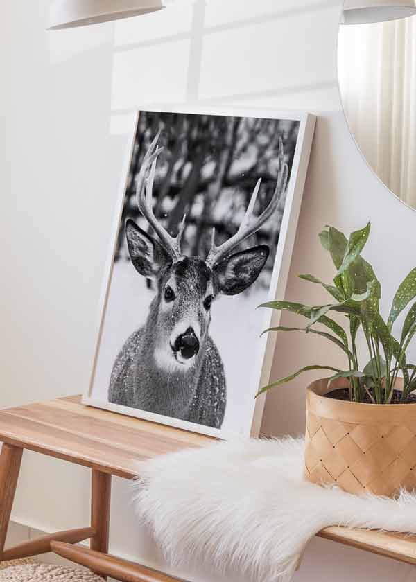 decoración con cuadros, ideas navidad - lámina decorativa fotográfica en blanco y negro de animal ciervo en un bosque con nieve - kudeko