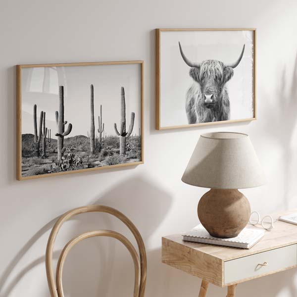 decoración con cuadros, mural -lámina decorativa de cactus en el desierto, fotografía horizontal en blanco y negro - kudeko